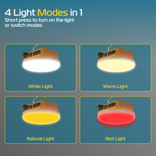 Rablex RB561 LED Camping Lamp 30W – Rechargeable with USB, Waterproof